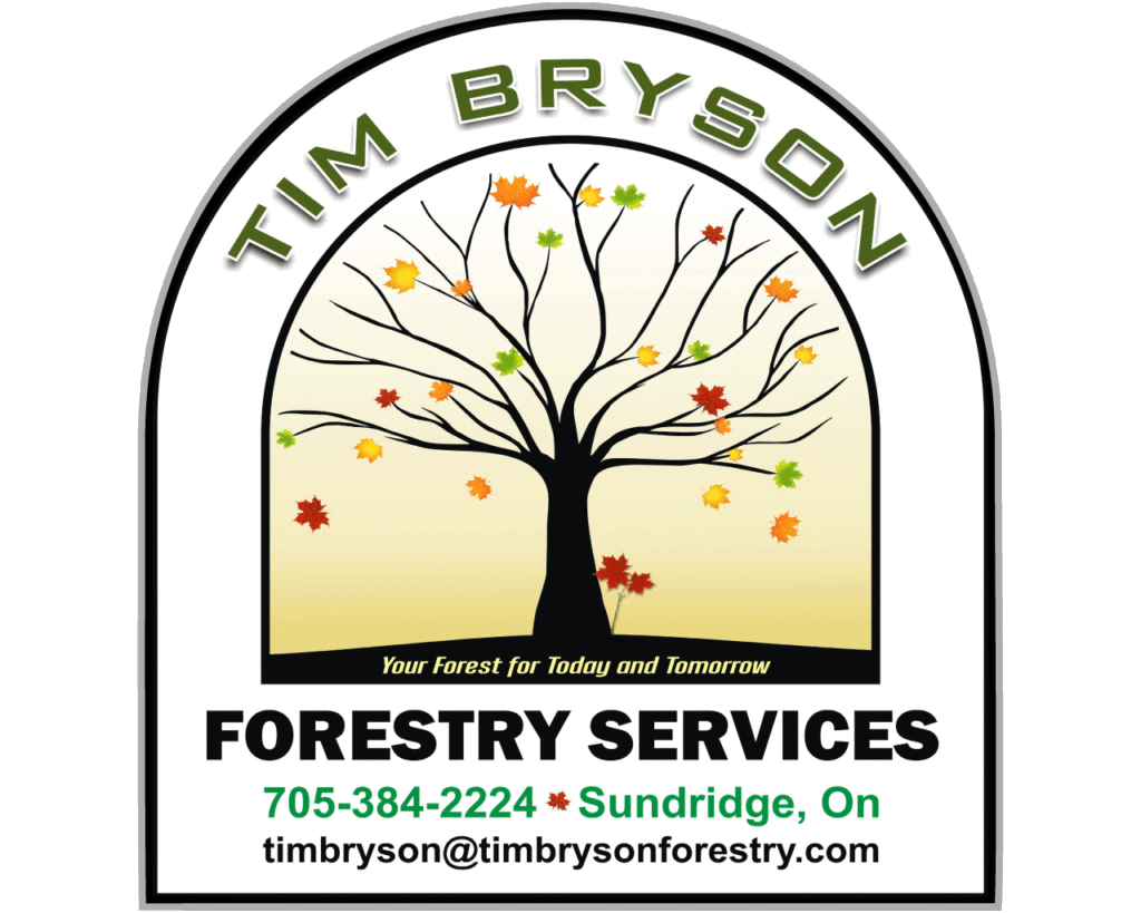 Tim Bryson Tim Bryson Forestry – Your Forest For Today and Tomorrow